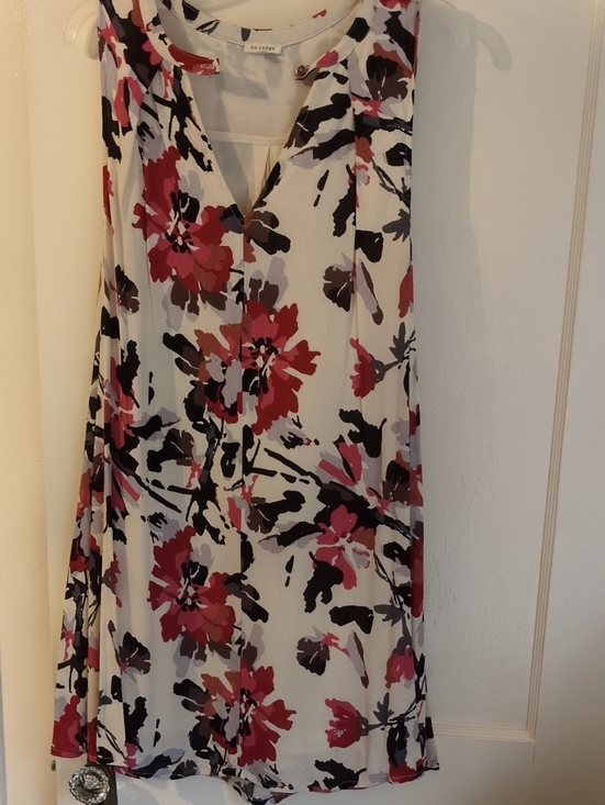 En Creme Dresses & Skirts - En Creme Floral Cream Mini Dress with Pink and Black Blooms